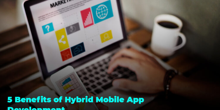 Hybrid mobile app