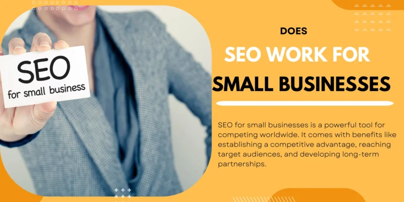 Does seo work for small businesses